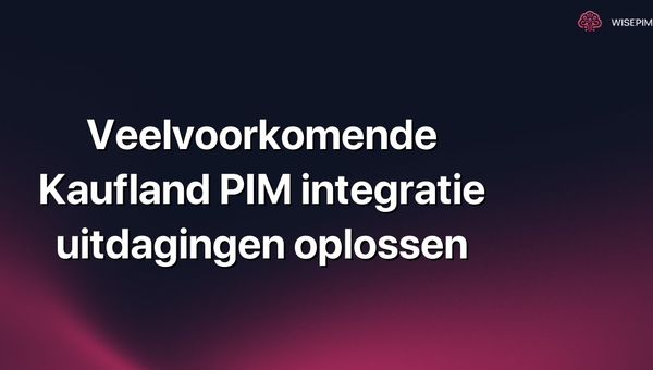 Veelvoorkomende Kaufland PIM integratie uitdagingen oplossen