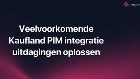Hoe pak je veelvoorkomende Kaufland PIM integratie uitdagingen aan?