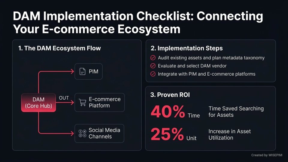 Digital Asset Management (DAM) infographic