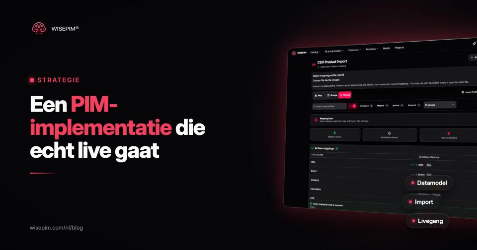 PIM-implementatie: stappenplan in 10 stappen, planning en sjabloon