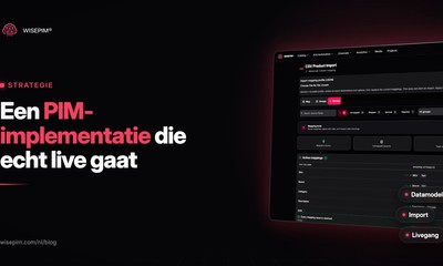PIM-implementatie: stappenplan in 10 stappen, planning en sjabloon