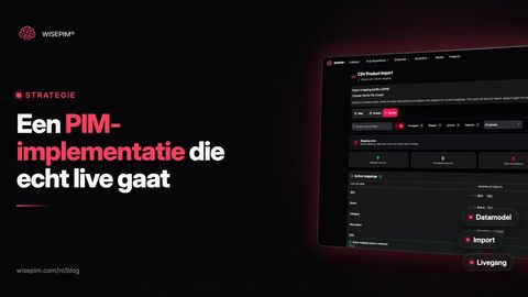 PIM-implementatie: stappenplan in 10 stappen, planning en sjabloon