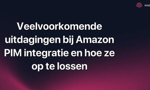 Veelvoorkomende uitdagingen bij Amazon PIM integratie en hoe ze op te lossen