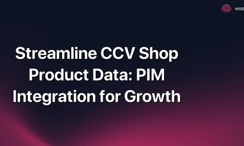 Streamline CCV Shop Product Data: PIM Integration for Growth