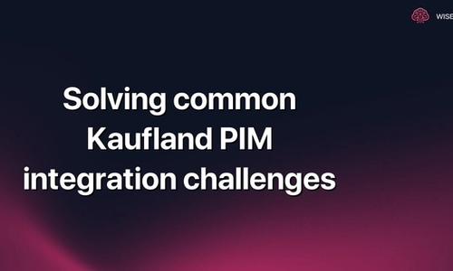 Solving common Kaufland PIM integration challenges