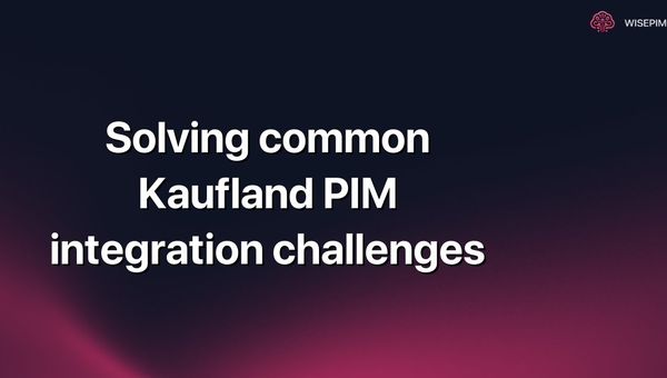 Solving common Kaufland PIM integration challenges