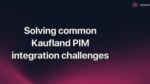 How to Solve Common Kaufland PIM Integration Challenges