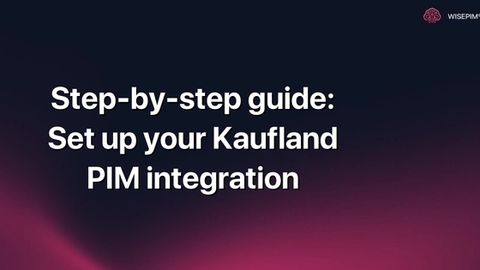 How to Set Up Your Kaufland PIM Integration Step-by-Step