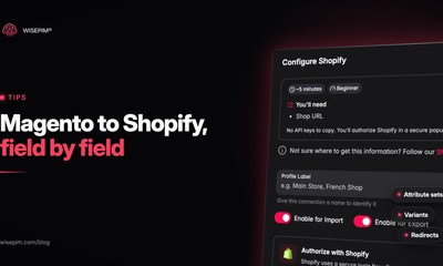 Magento to Shopify Migration: Mapping Your Catalog Field by Field