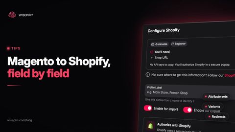 Magento to Shopify Migration: Mapping Your Catalog Field by Field