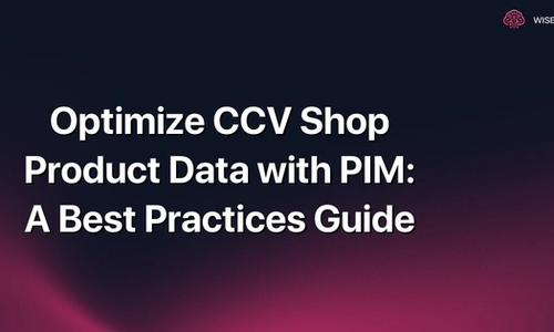 Optimize CCV Shop Product Data with PIM: A Best Practices Guide
