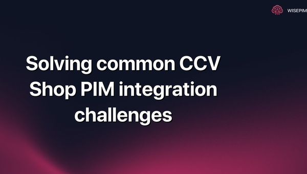 Solving common CCV Shop PIM integration challenges