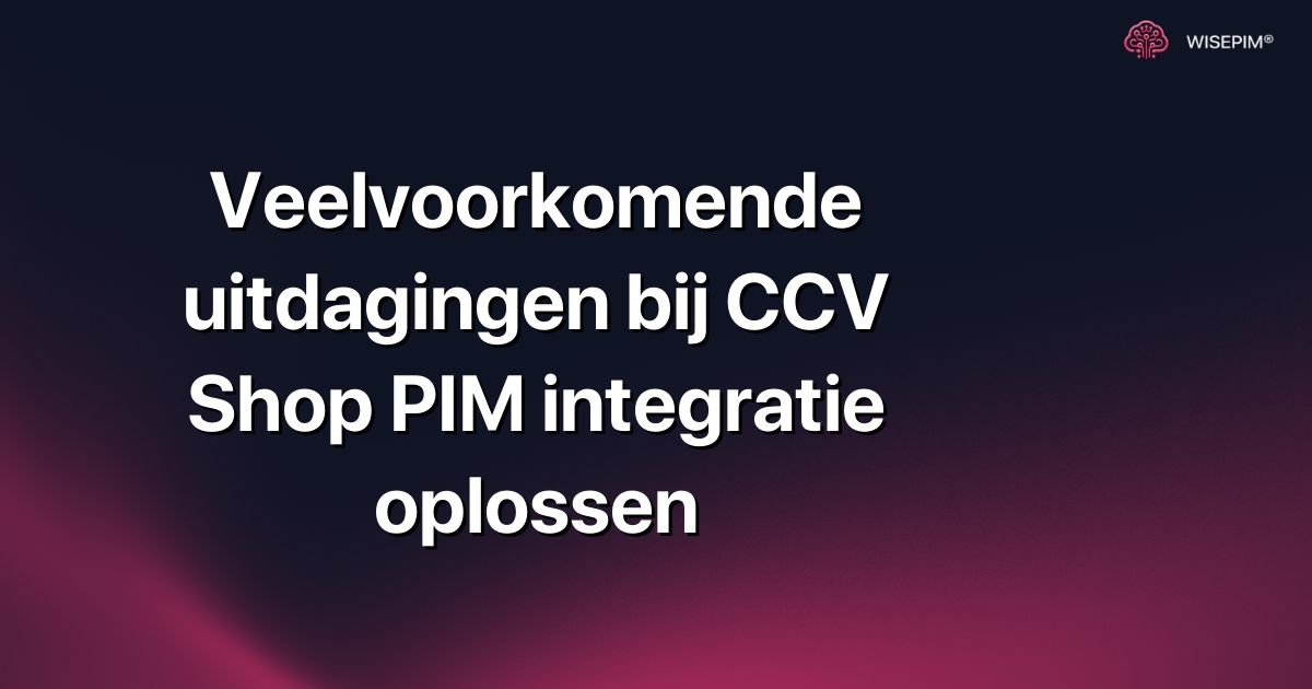 Veelvoorkomende uitdagingen bij CCV Shop PIM integratie oplossen