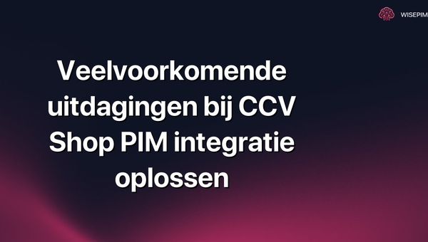 Veelvoorkomende uitdagingen bij CCV Shop PIM integratie oplossen