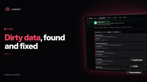 Dirty Data in Product Catalogs: 8 Examples and How to Fix Each
