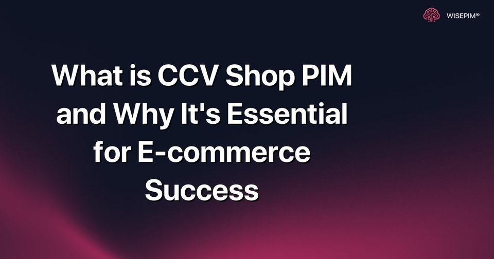 How to Maximize E-commerce Success with CCV Shop PIM