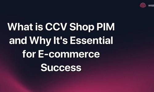 What is CCV Shop PIM and Why It's Essential for E-commerce Success