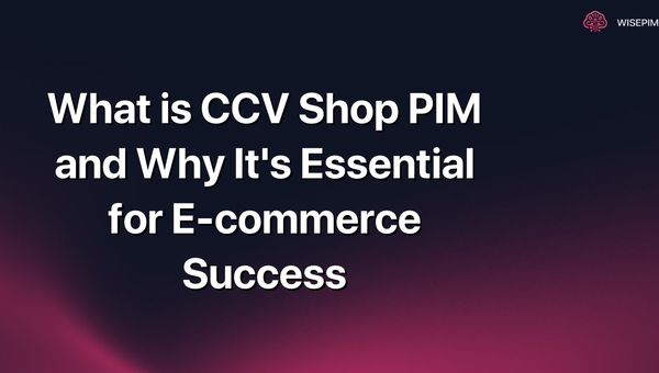 What is CCV Shop PIM and Why It's Essential for E-commerce Success