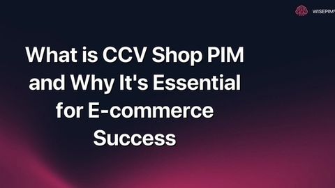 How to Maximize E-commerce Success with CCV Shop PIM