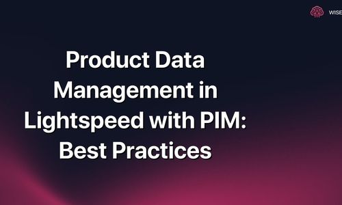 Product Data Management in Lightspeed with PIM: Best Practices