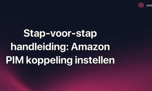 Stap-voor-stap handleiding: Amazon PIM koppeling instellen
