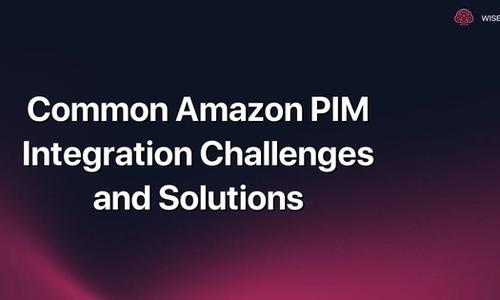 Common Amazon PIM Integration Challenges and Solutions