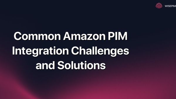 Common Amazon PIM Integration Challenges and Solutions