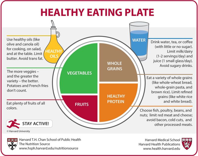 A diagram of a healthy eating plate