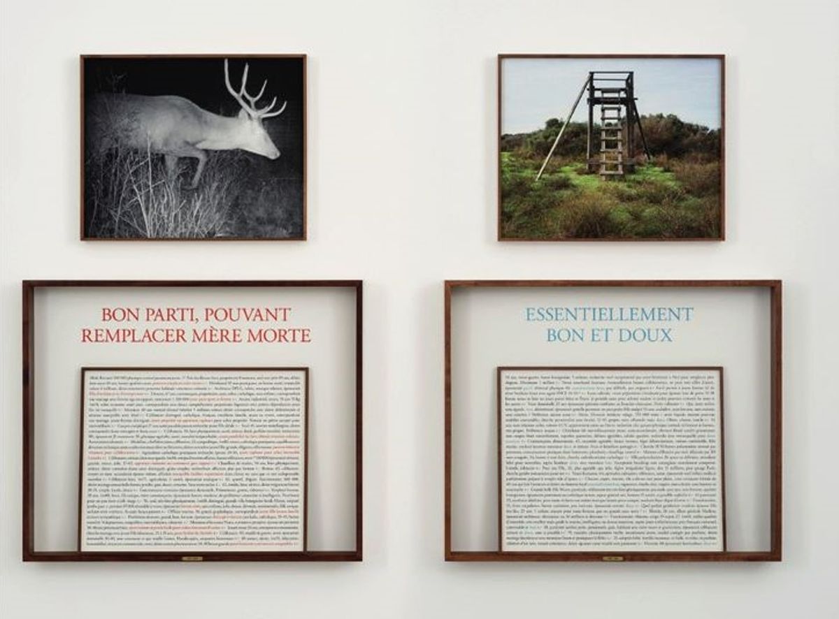 Sophie Calle, série À l’affût, 2017 2022, photographie et texte. © Sophie Calle. Photo D.R.