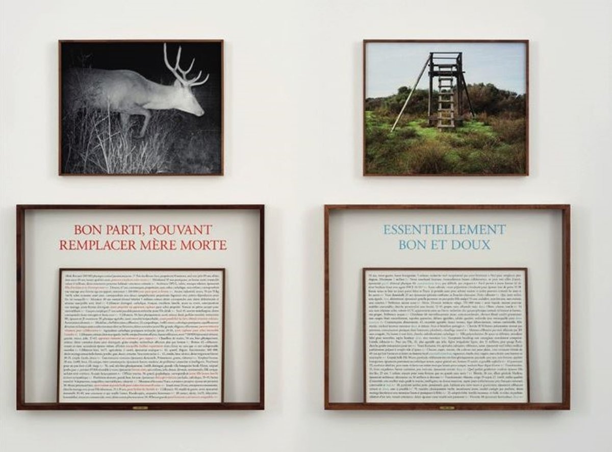 Sophie Calle, série À l’affût, 2017 2022, photographie et texte. © Sophie Calle. Photo D.R.