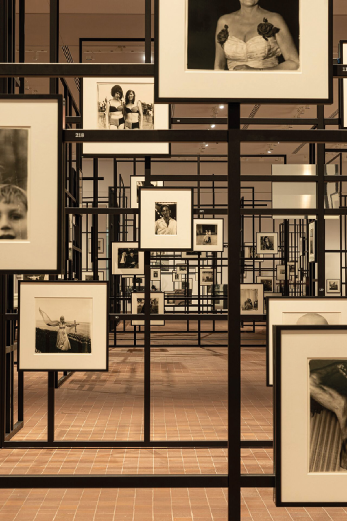 Vu d’exposition « Diane Arbus : Constellation », Fondation LUMA, Arles, 2023. © The Estate of Diane Arbus. Courtesy Collection Maja Hoffmann/
Fondation LUMA. Photo Adrian Deweerdt