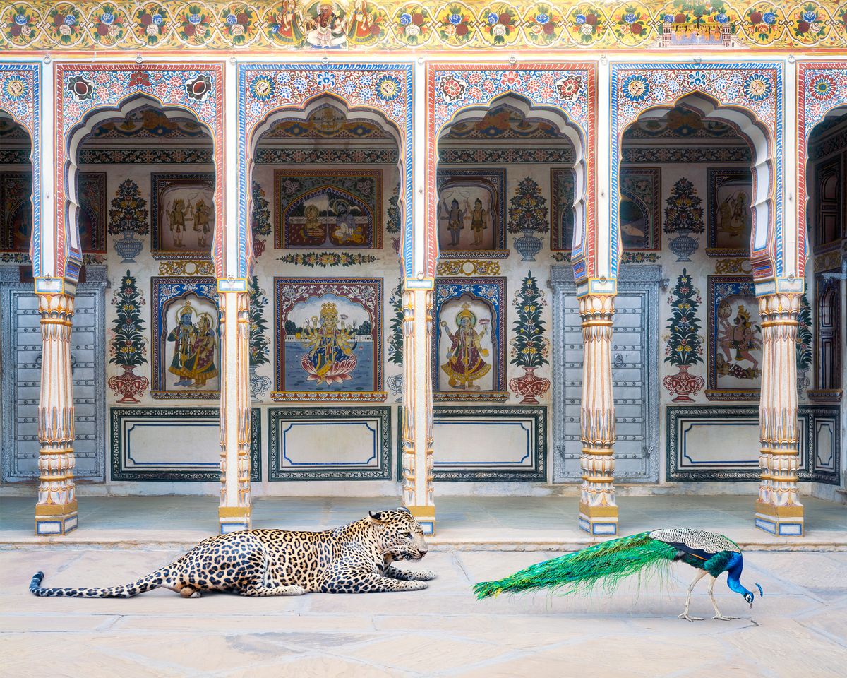 Karen Knorr, The Waiting Game, Poddar Haveli, Nawalgarh, 2021, Série INDIA SONG, 2010-2022. Courtesy Galerie Les Filles du Calvaire, Paris
