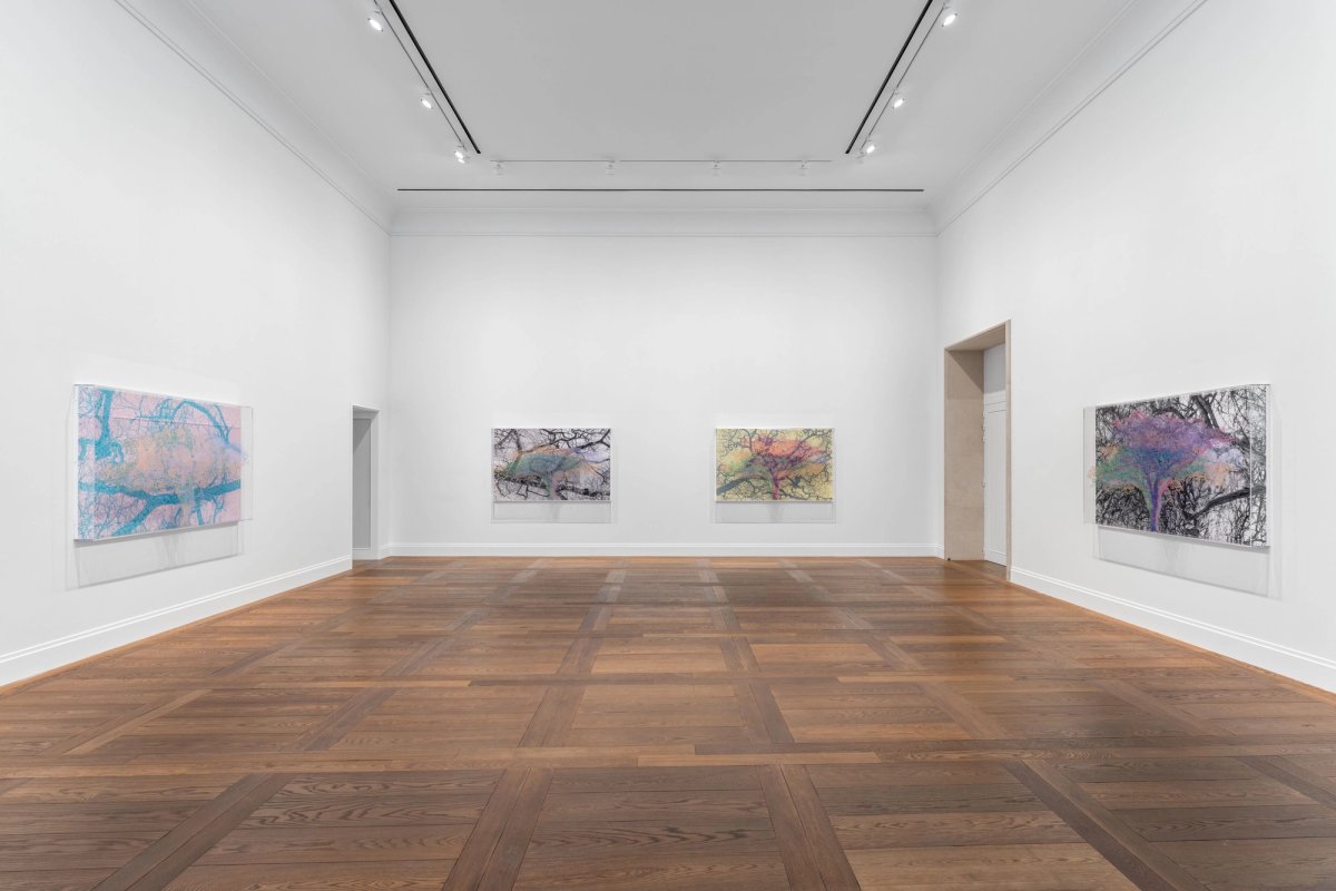 Vue de l’exposition « Charles Gaines. Ciphering African Acacias and Supreme Court Decisions », Hauser & Wirth Paris, 2026. © Charles Gaines. Courtesy the artist and Hauser & Wirth. Photo Nicolas Brasseur