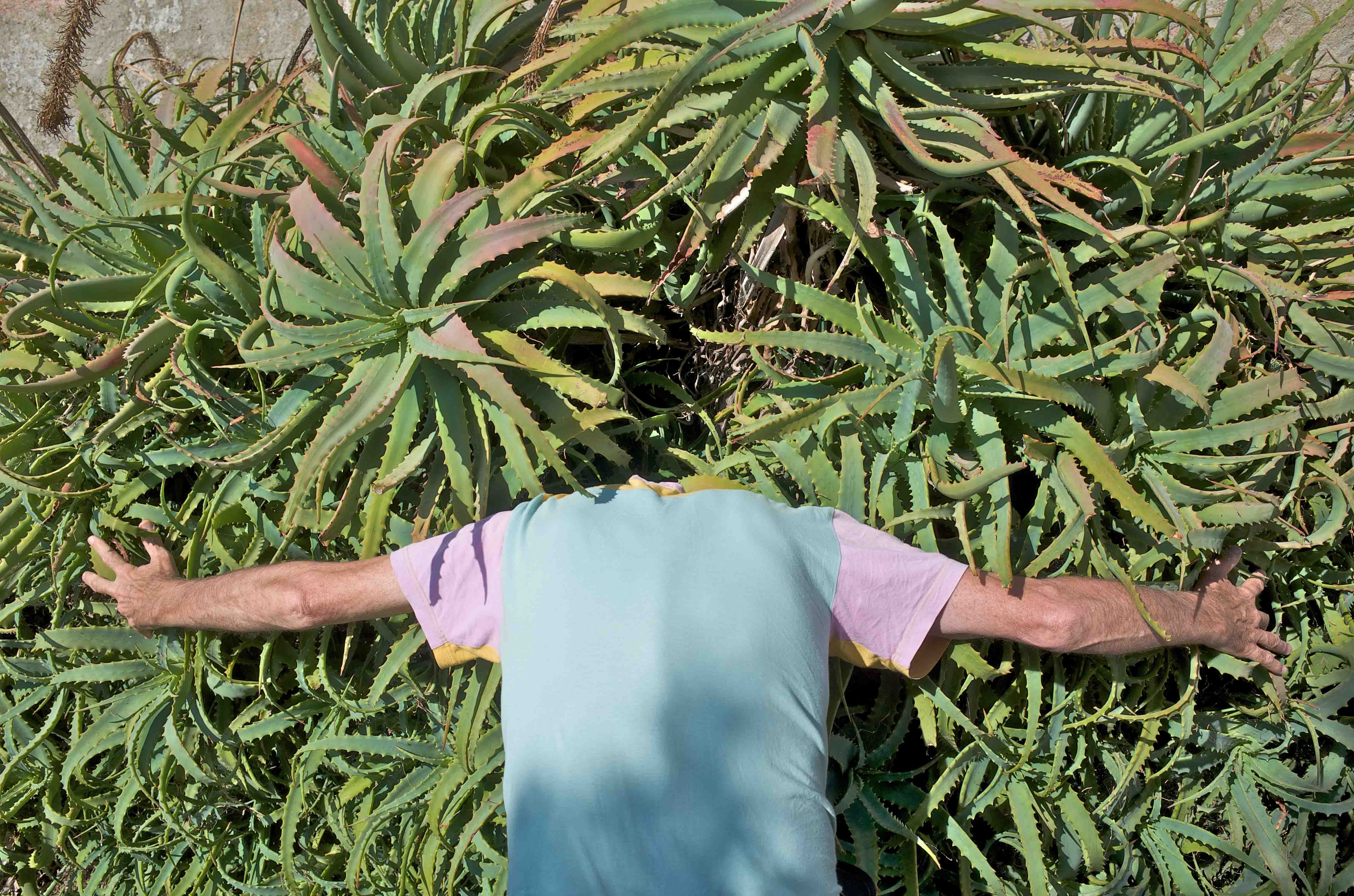 Jean-Luc Vilmouth, Nature and Me, 2015. © Collection White- Vilmouth