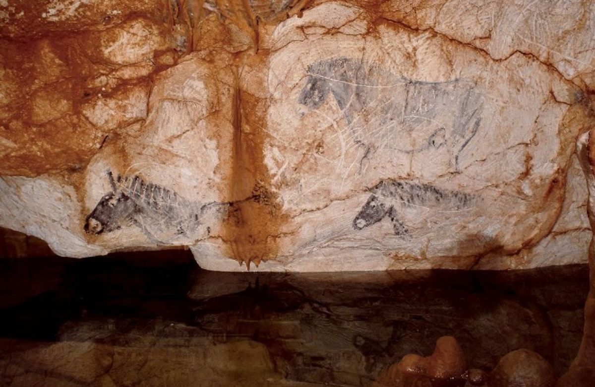 Vue d’un des murs de la grotte Cosquer. © Kléber Roussillon