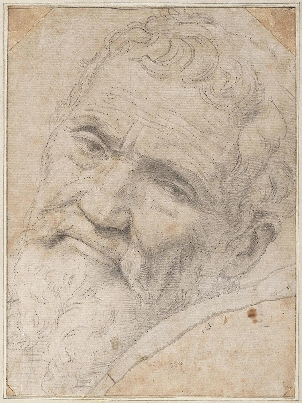 Le portrait de Michel-Ange par Daniele da Volterra. © Teylers Museum de Haarlem