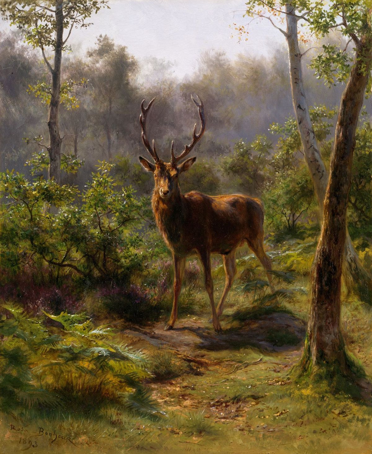 Rosa Bonheur, Un cerf, 1893, huile sur toile. © Dublin, National Gallery of Ireland
