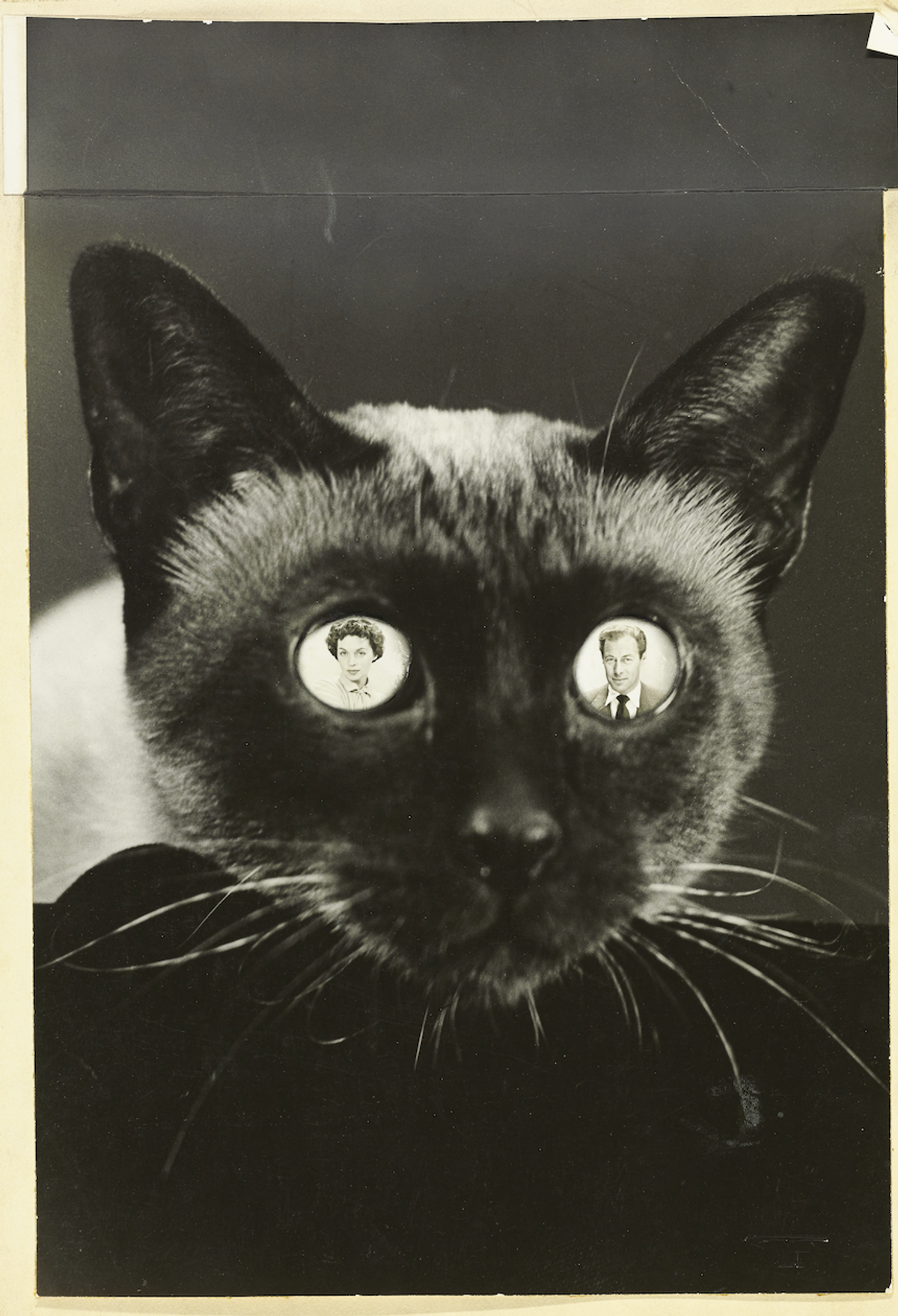 Erwin Blumenfeld, Le Couple d’acteurs Rex Harrison et Lilli Palmer en surimpression dans les yeux d’un chat siamois, 1950, photographie publiée dans Vogue. © Condé Nast