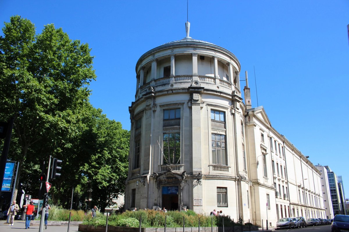 Le musée Guimet, dans le 6e arrondissement de Lyon. Ville de Lyon