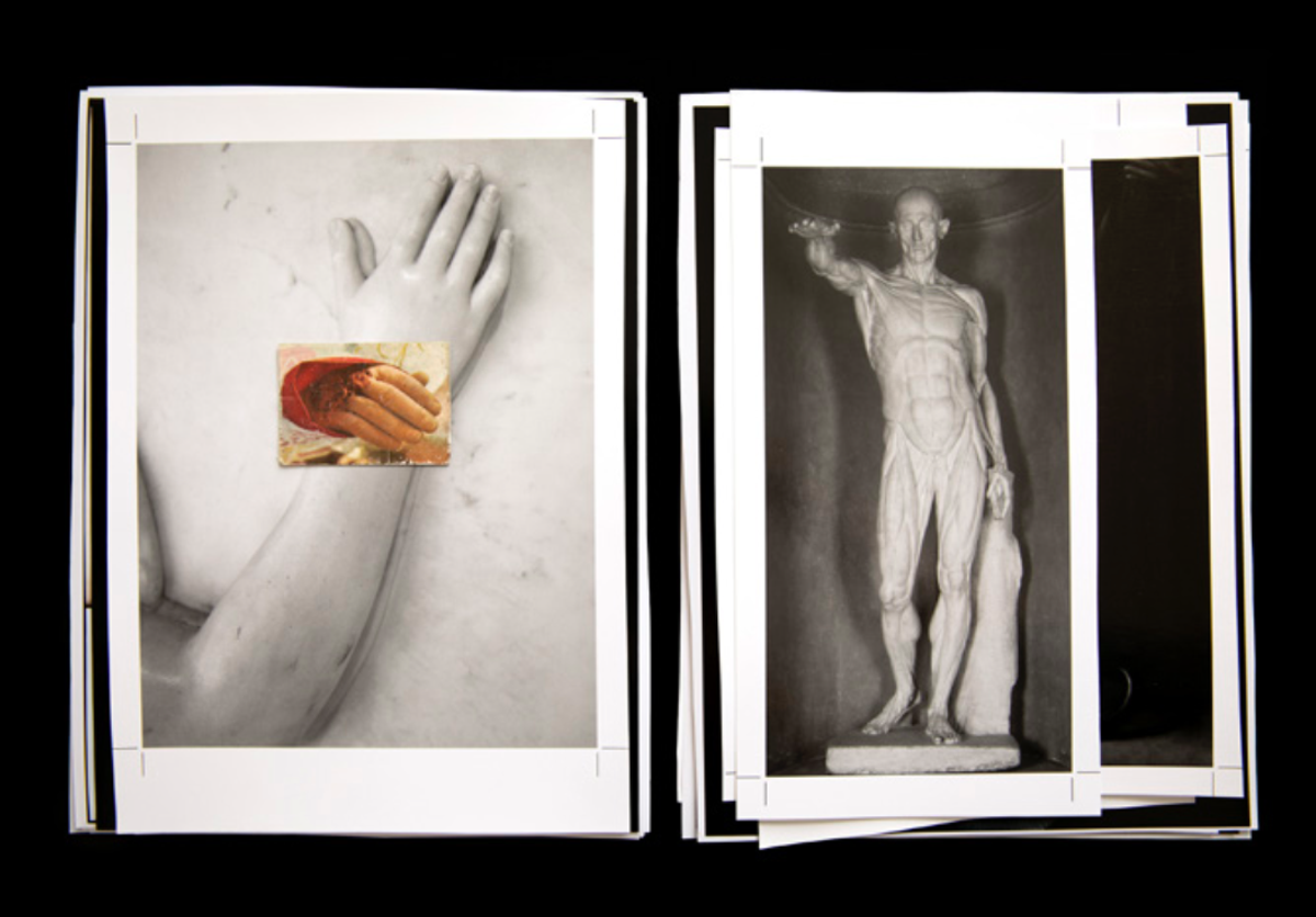 Œuvres de Stéphanie Solinas. © Stéphanie Solinas