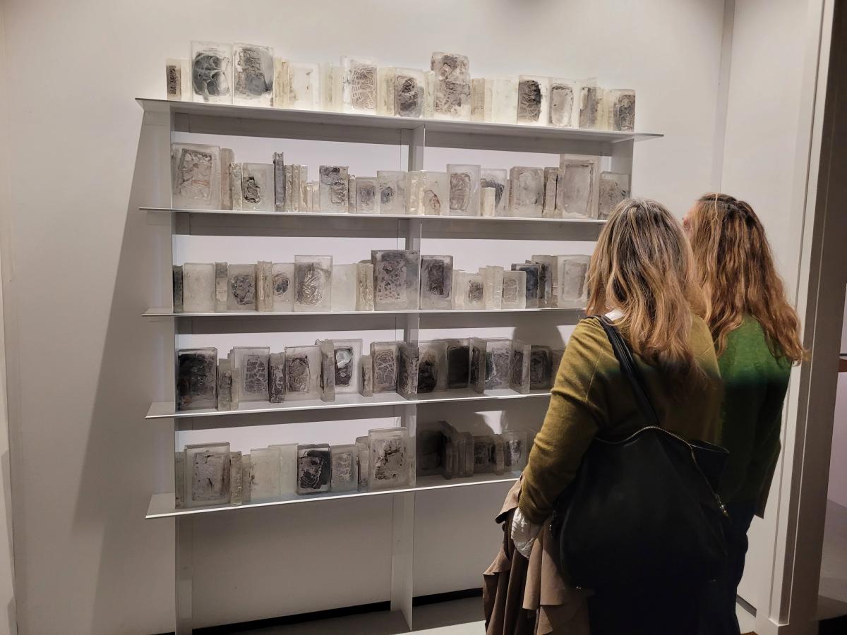 Pascal Convert, Bibliothèque cristallisée au livre perdu, 2018. Galerie RX / SLAG. Photo A.C. 