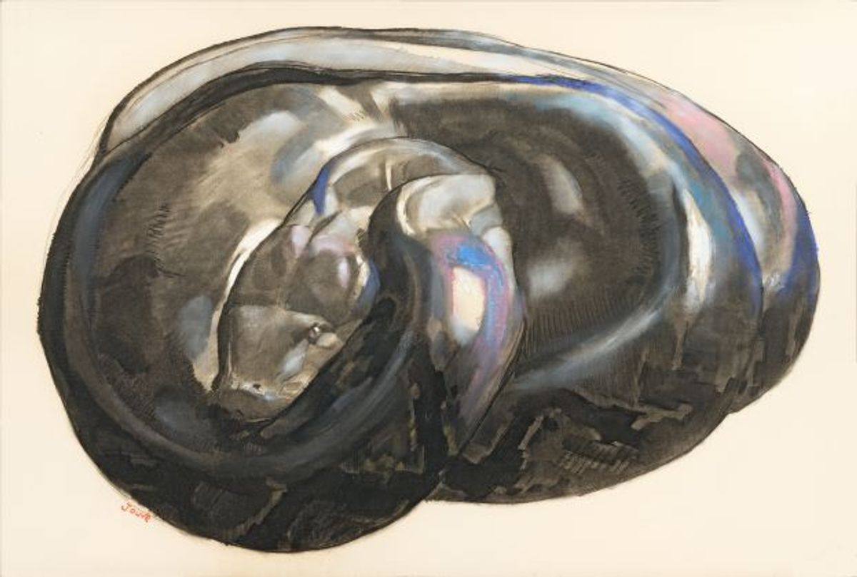 Paul Jouve, Python lové, vers 1925, technique mixte sur papier contrecollé sur carton, signée en bas à gauche. Courtesy de la galerie Alexis Pentcheff