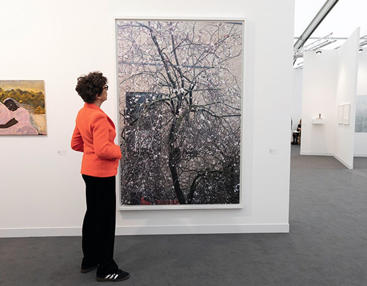 Wolfgang Tillmans, First Days of Spring, 2026, sur le stand de la galerie Maureen Paley à Frieze London. Photo David Owens