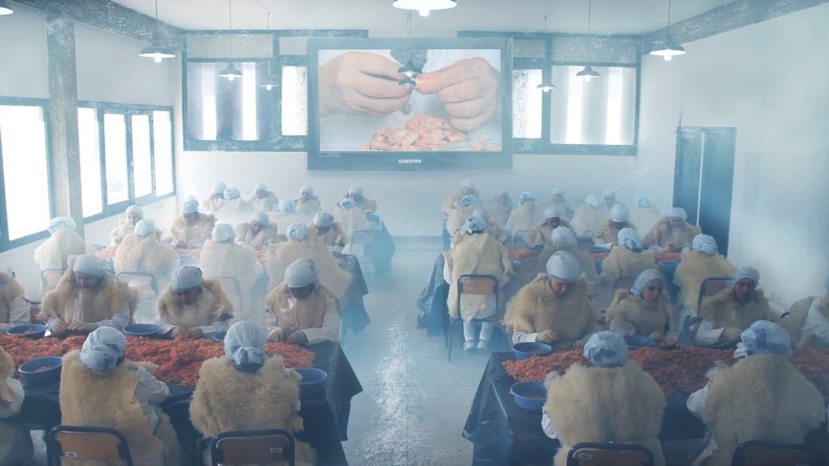 Bertille Bak, Boussa From the Netherlands, video still, 2017, FHD video, installation multimédia. Œuvre exposée à la Biennale de Sydney 2026. Courtesy de l’artiste. © Bertille Bak. ADAGP/Copyright Agency, 2025