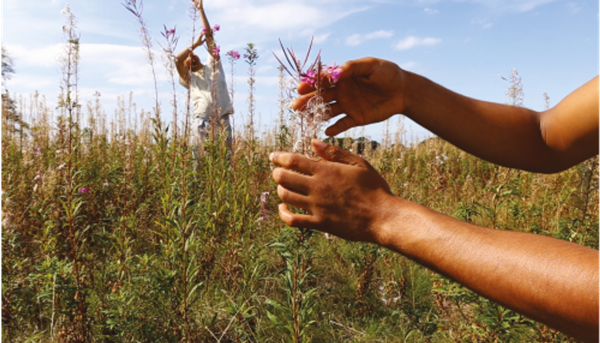 Adham Faramawy, The air is subtle, various and sweet, 2021, installation vidéo monocanale. Courtesy de l’artiste et Niru Ratnam, Londres
