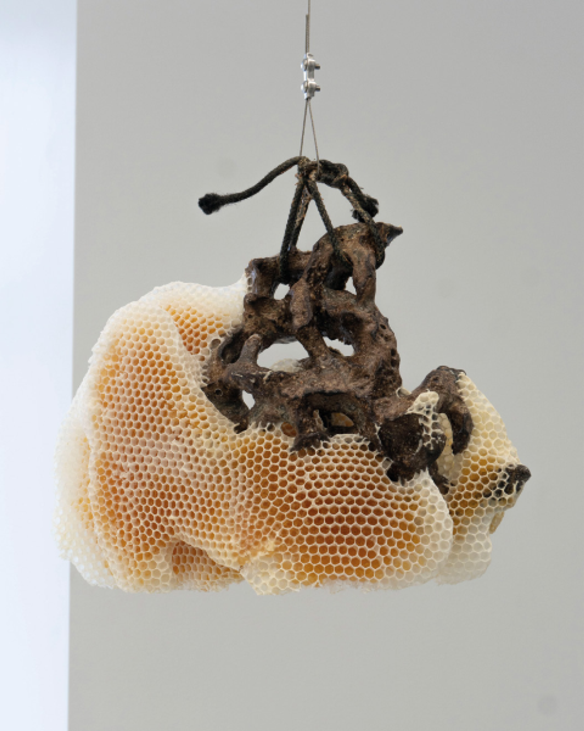 Eirik Falckner, Untitled (Honning), 2022, céramique et alvéoles de ruche.
Courtesy de l’artiste et de Kiosken