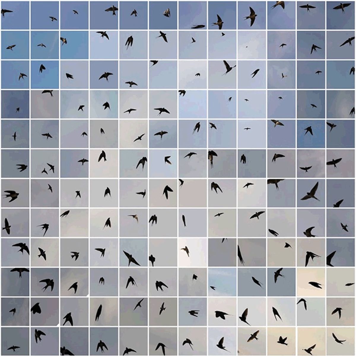 Édouard Taufenbach, Le bleu du ciel. © Édouard Taufenbach