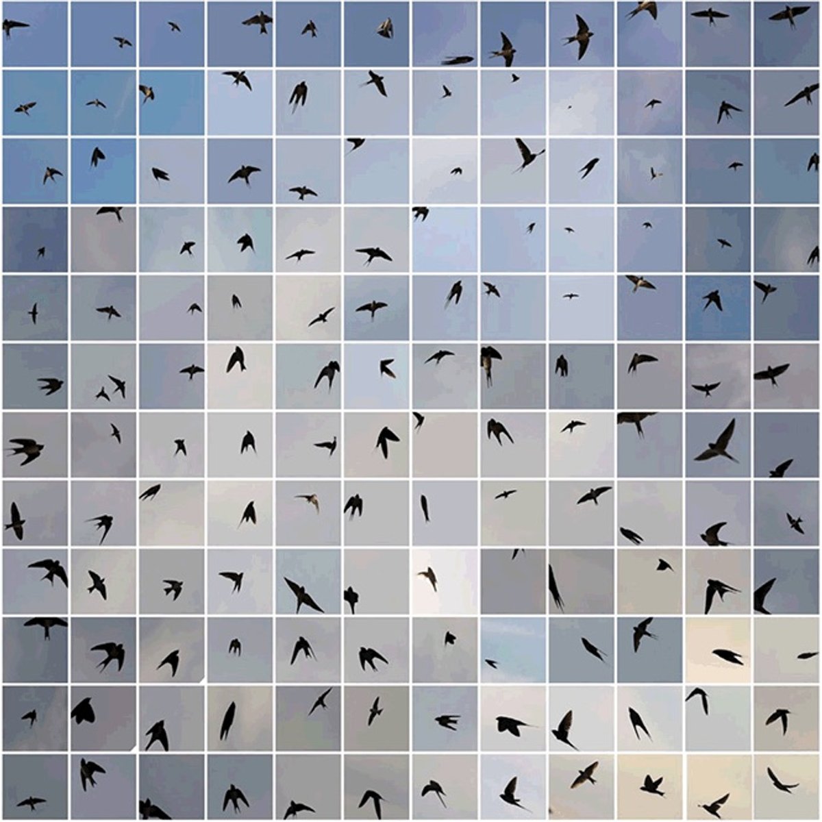 Édouard Taufenbach, Le bleu du ciel. © Édouard Taufenbach