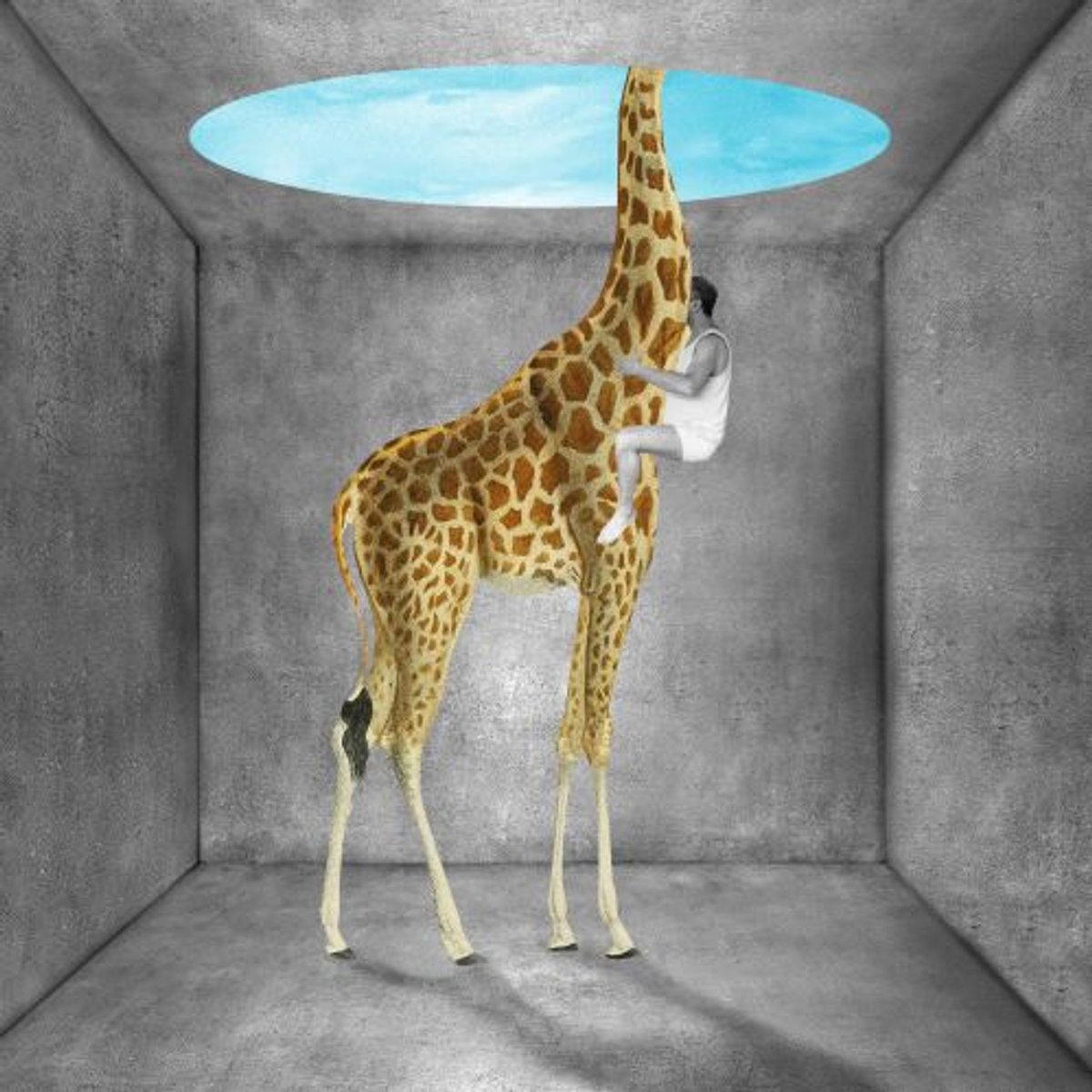 Sarah Bouillaud, Day 31. Find some allies, 2020. © Sarah Bouillaud, 2020