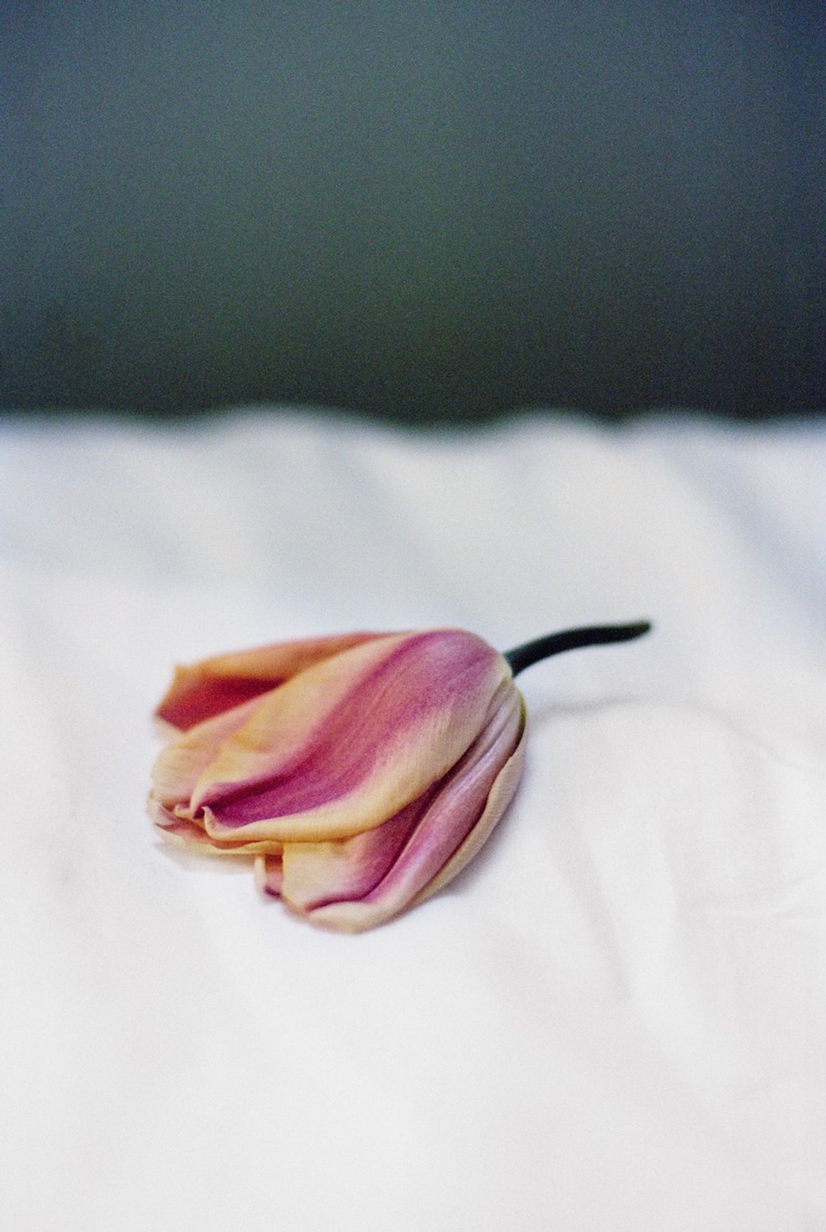 Anne-Lise Broyer, Deauville 2021.
© ADAGP, Paris, 2024